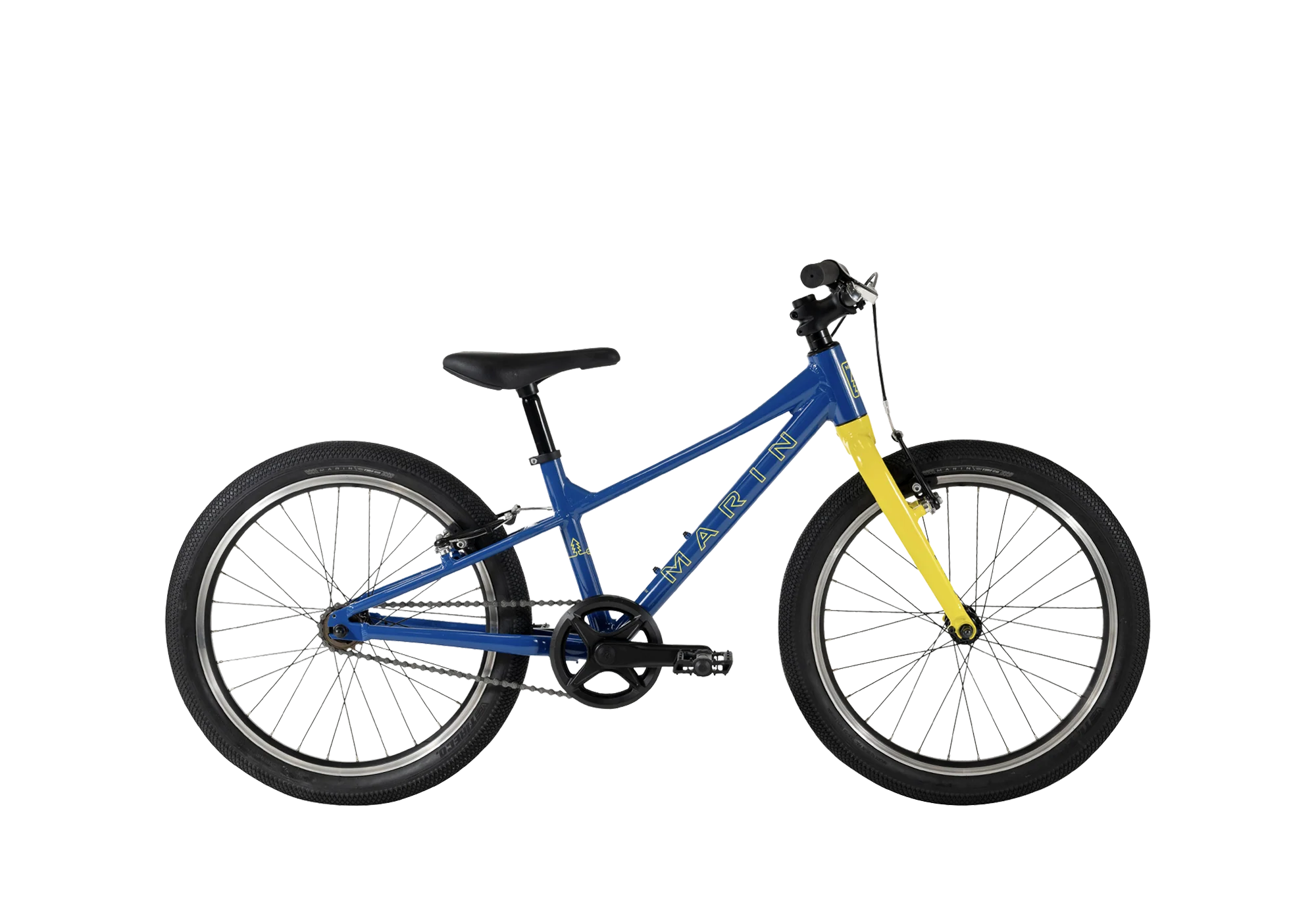 2025 Coast Trail 20" 1 - Image 4