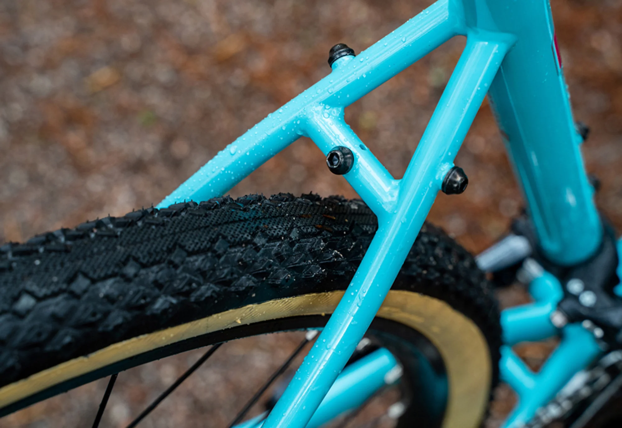 2025 Four Corners 2 - Image 4