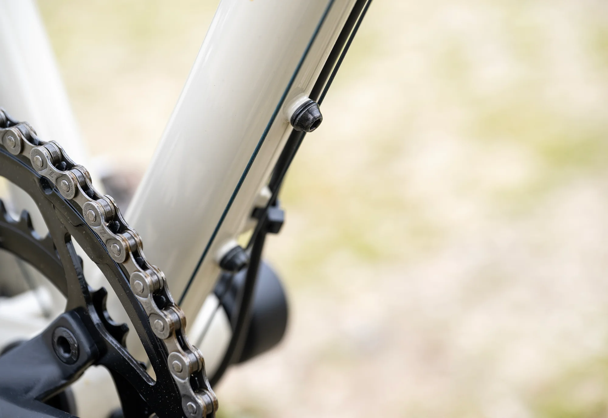 2025 Nicasio 1 - Image 4