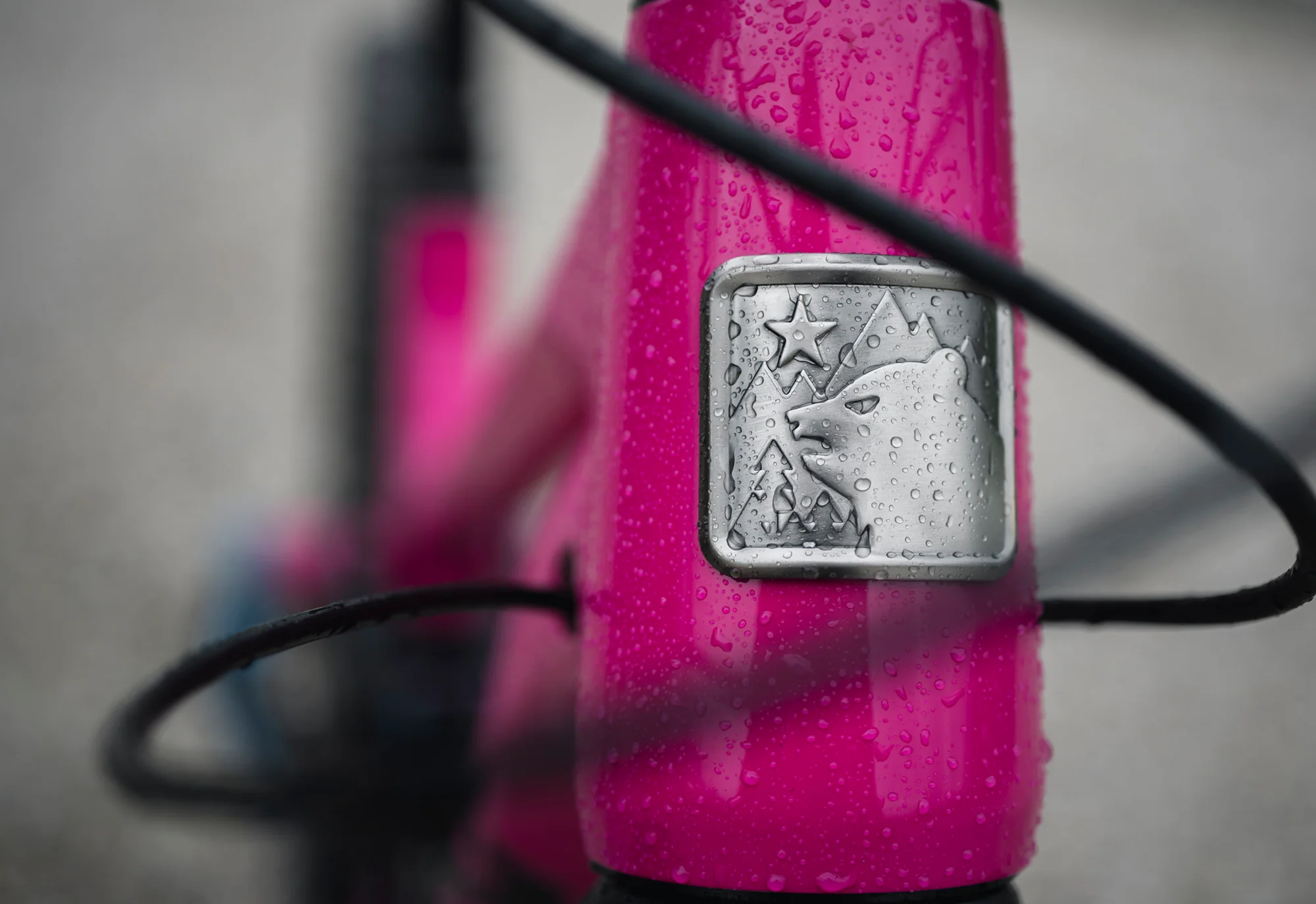 2025 ALPINE TRAIL XR AXS - Image 4