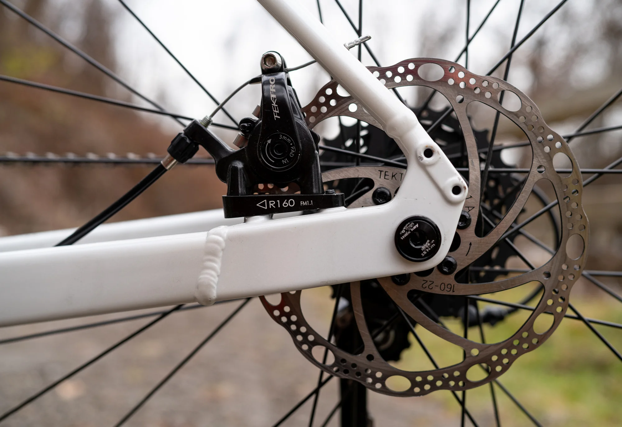 2025 Gestalt 1 - Image 4